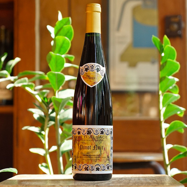 Pinot Noir 2023 - Gérard Schueller - Marée Haute Vins Naturels