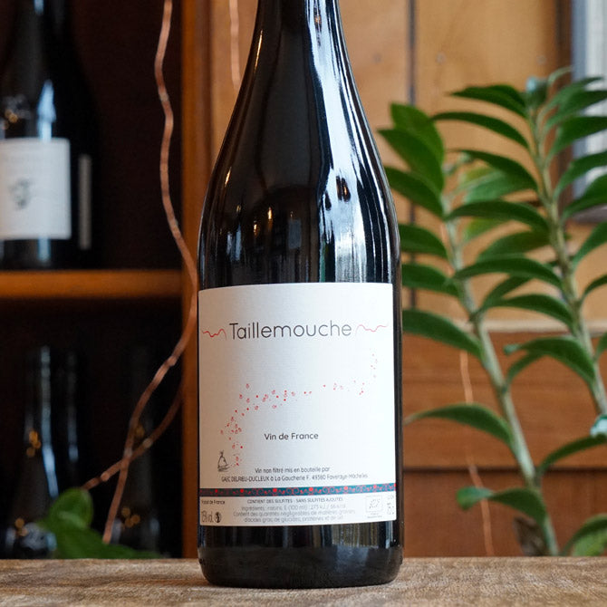 Taillemouche 2024 - Julien Delrieu