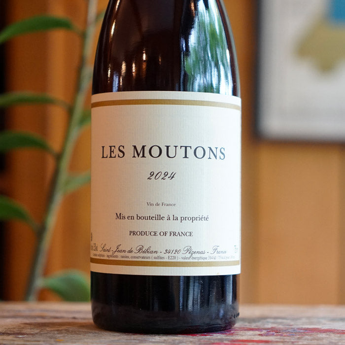 Les Moutons 2024 - Prieuré Saint-Jean de Bebian