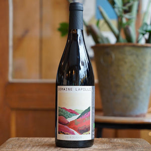 Fleur de Pente 2024 - Domaine Lapilli