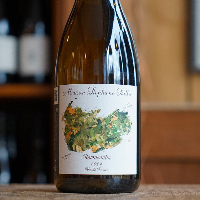 Romorantin 2024 - Stéphane Saillet