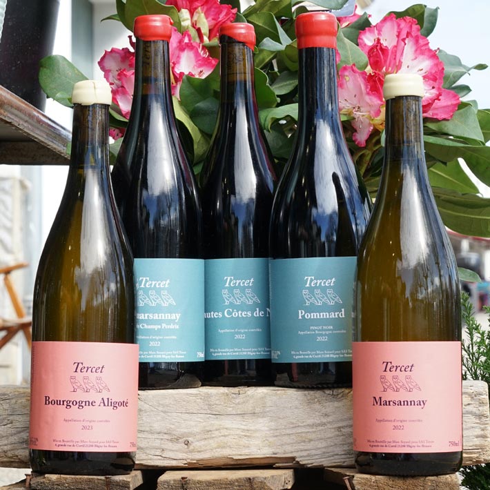Hautes Côtes de Nuits Rouge 2022 - Domaine de la Cras