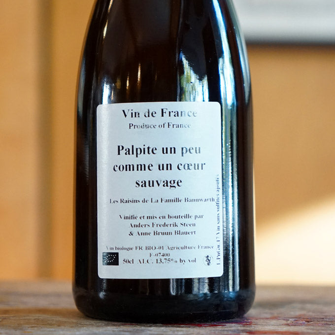 Palpite un peu comme un coeur sauvage 2017 - Anders Frederik Steen et Anne Bruun Blauert