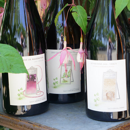 Rosé de macération 2019 - Champagne Sacy Soeur & Frère