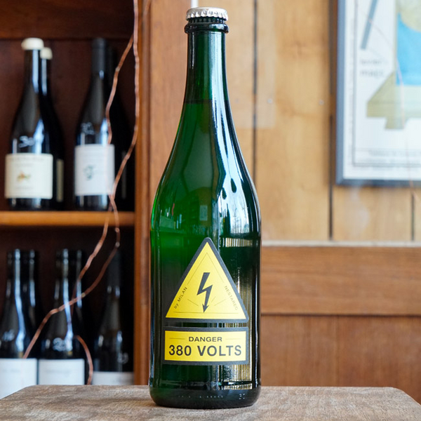 380 Volts 2024 - Milan Nestarec - Marée Haute Vins Vivants