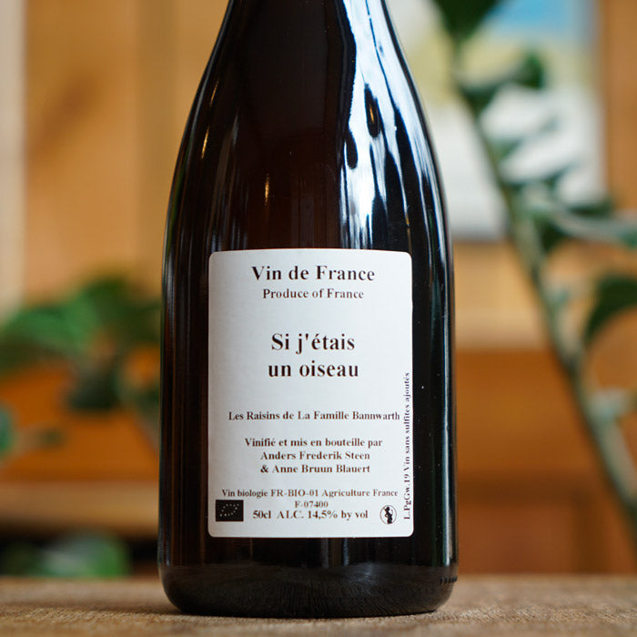 Si j'étais un Oiseau 2019 - Anders Frederik Steen et Anne Bruun Blauert