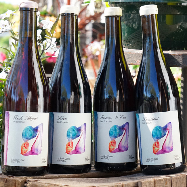Pommard "Les Bœufs" 2024 - Louis Mathieu