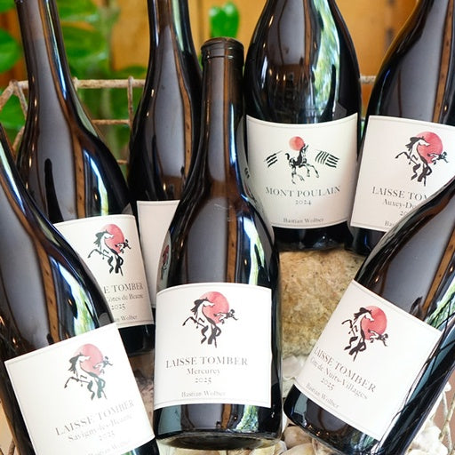Côte de Nuits Villages Rouge "La Montagne" 2024 - Bastian Wolber