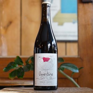 Ouverture 2023 - Arnaud Chapuis