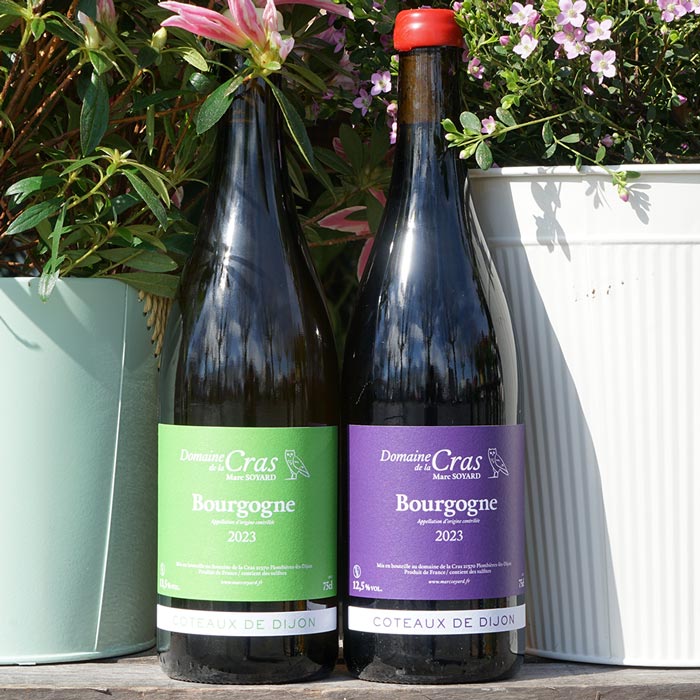 Domaine Blanc 2023 - Domaine de la Cras
