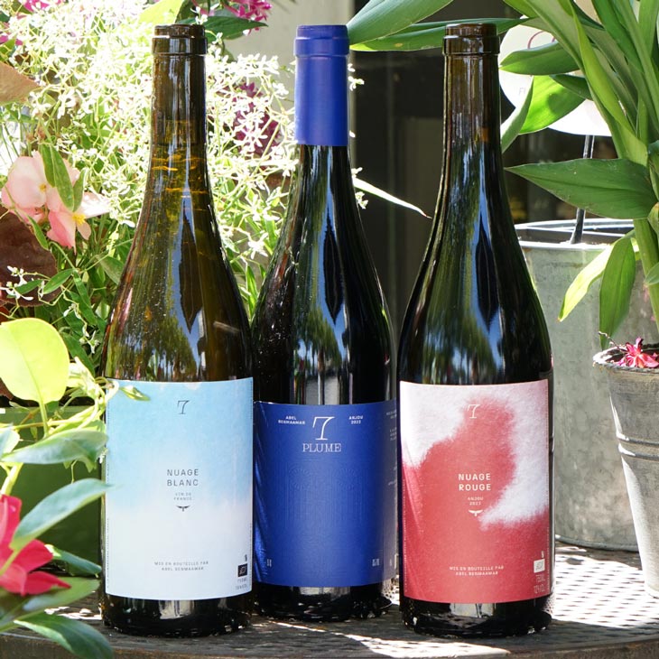 Nuage Blanc 2023 - Domaine 7