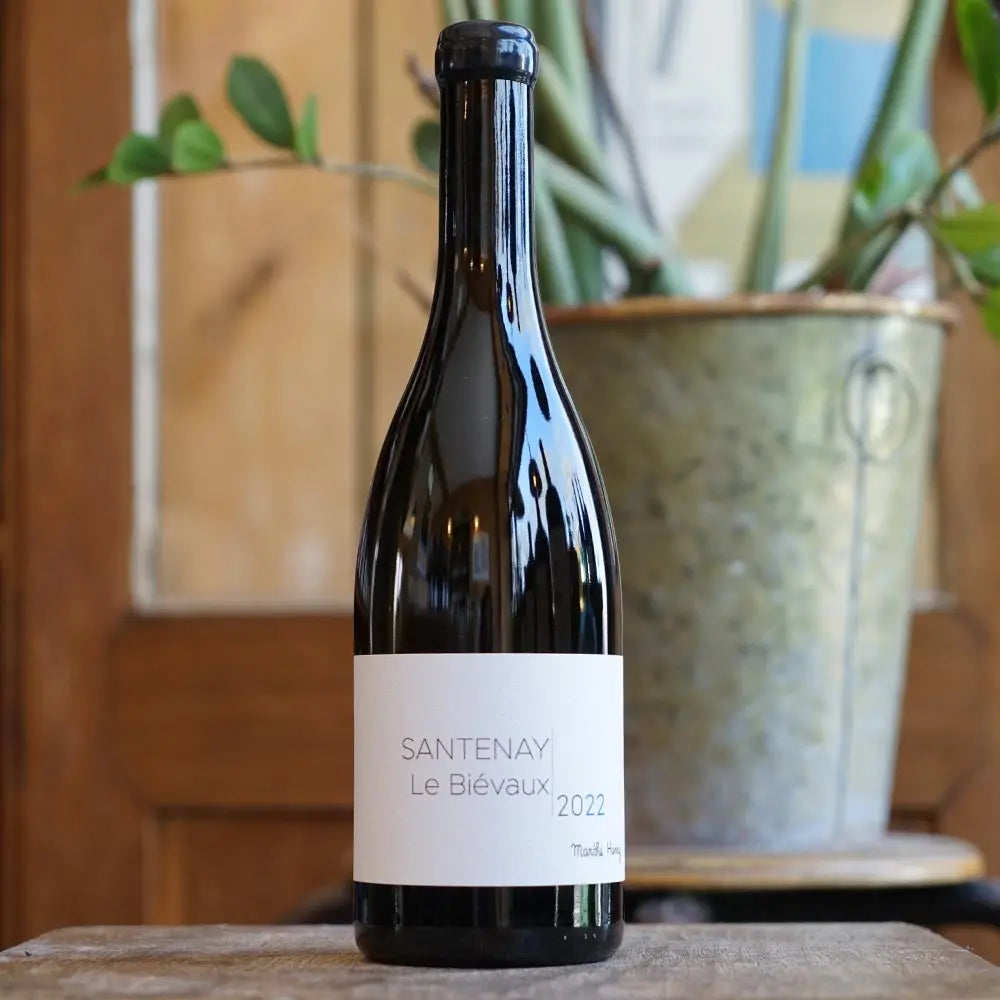 Santenay Le Biévaux 2022 - Marthe Henry
