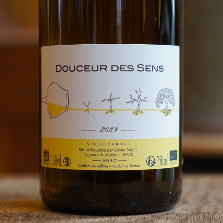 Sauvignon Blanc & Gris 2023 - Olivier Seguin