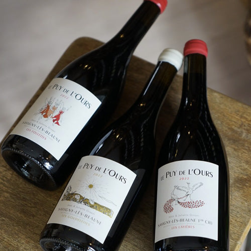 Savigny Village Rouge Clos des Godeaux 2022 - Domaine Puy de l'Ours