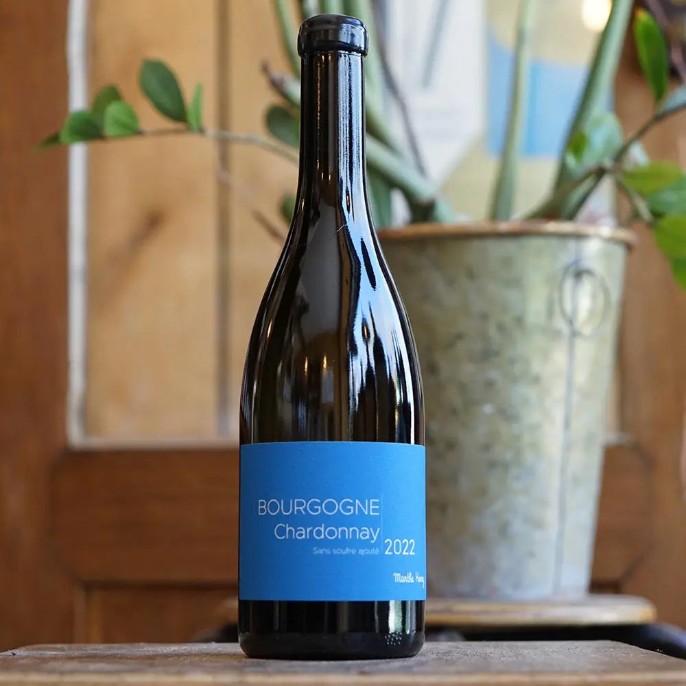 Bourgogne Chardonnay / sans soufre ajouté 2022 - Marthe Henry
