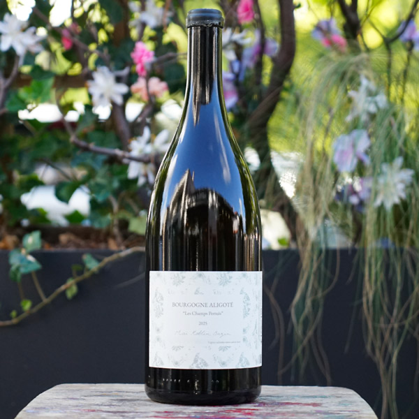 Bourgogne Aligoté "Les Champs Pertuis" 2025 Magnum - Maï Roblin Bazin