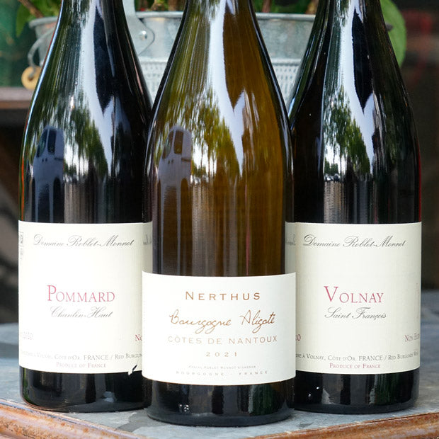 Pommard "Chanlin Haut" 2020 - Pascal Roblet-Monnot