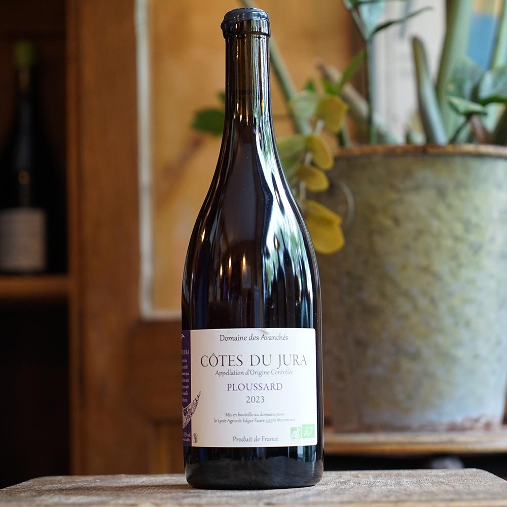 Poulsard 2023 - Domaine des Avanchés