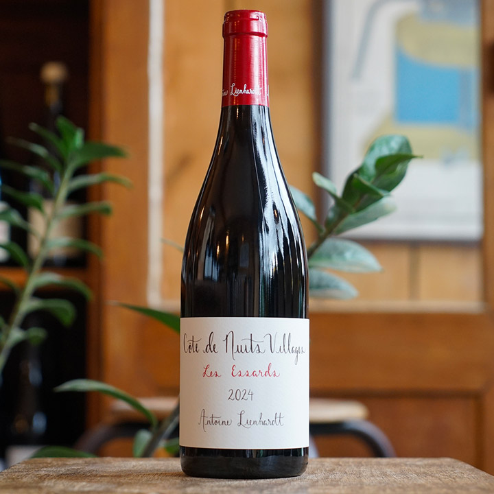 Côte de Nuits Villages "Les Essards" 2024 - Antoine Lienhardt