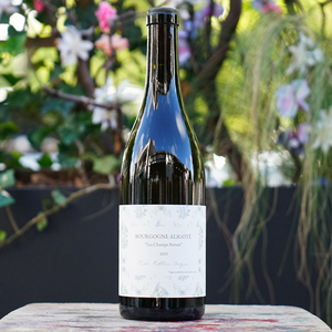 Bourgogne Aligoté "Les Champs Pertuis" 2025 - Maï Roblin Bazin
