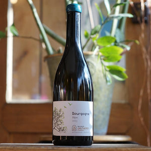 Bourgogne Dijon 2023 - Maison Gautheron d'Anost