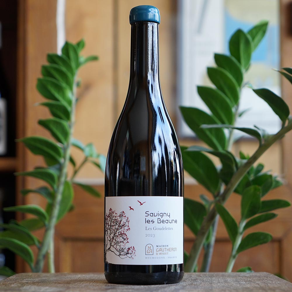 Savigny Les Beaune "Les Goudelettes" 2023 - Maison Gautheron d'Anost