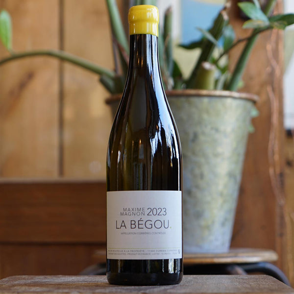 Maxime-magnon-le-begou-