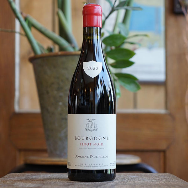 Bourgogne Pinot Noir 2022 - Paul Pillot - Marée Haute Vins Naturels