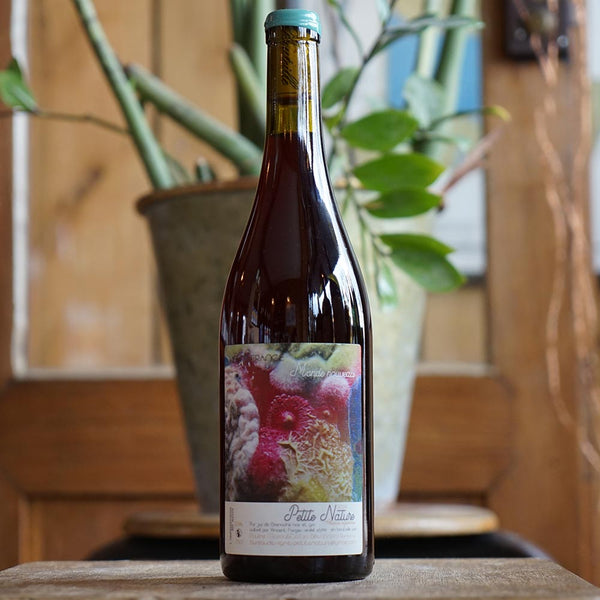 ワイン Petite Nature Petite Nature Pétillant Naturel, Martin Texier | Astor Wines & Spirits