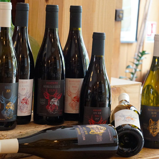 Hautes Côtes de Beaune Blanc 2024 - Chapuis & Chapuis