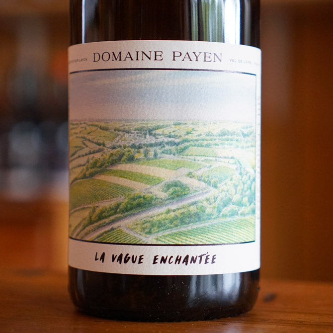 Anjou Blanc "La Vague Enchantée" 2024 - Domaine Payen