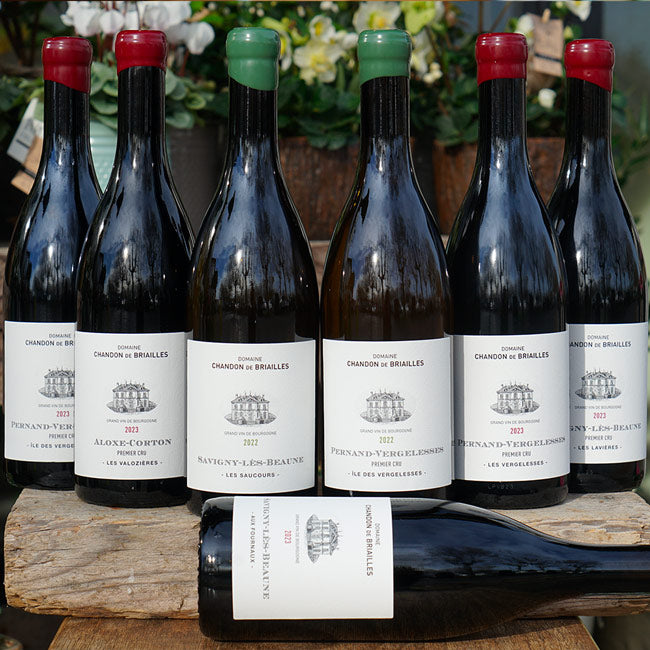 Pernand-Vergelesses 1er Cru "Île des Vergelesses" Rouge 2023 - Chandon de Briailles