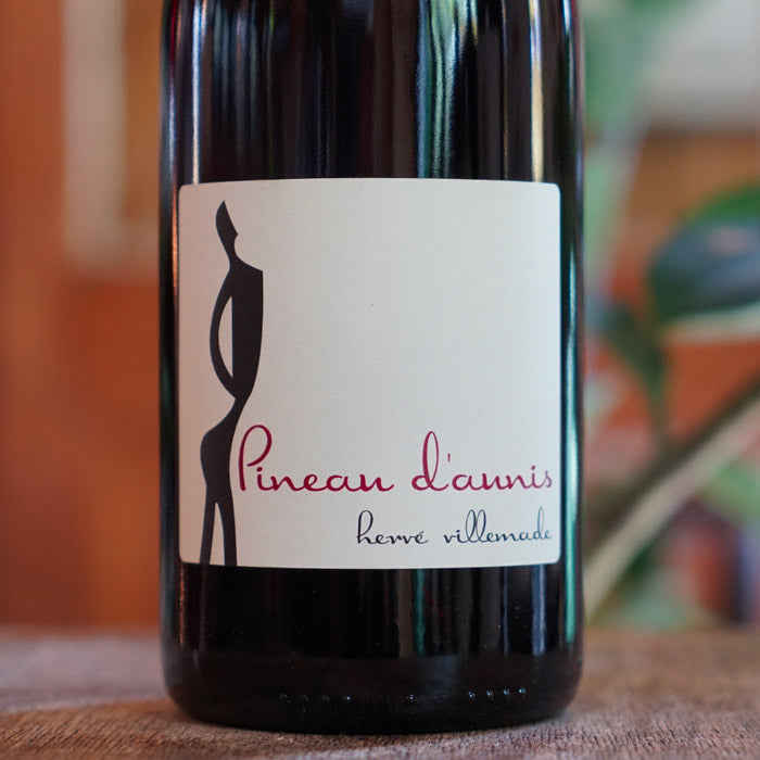 Pineau d'Aunis 2023 - Hervé Villemade