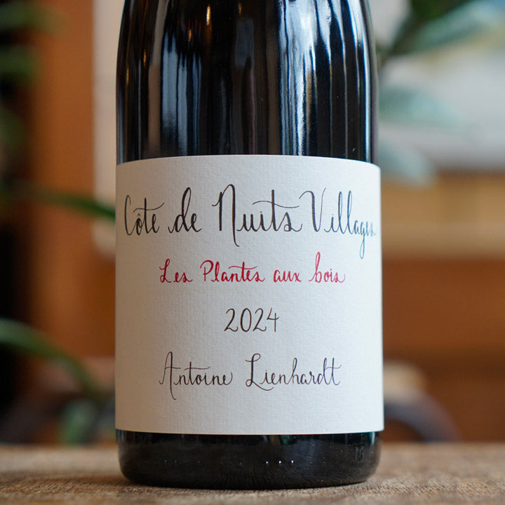 Côte de Nuits Villages "Les Plantes Aux Bois" 2024 - Antoine Lienhardt
