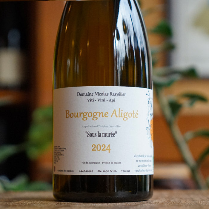 Aligoté 2024 - Nicolas Raspiller