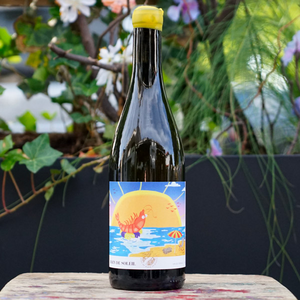 Bain De Soleil 2025 - Les Chais Du Port de La Lune
