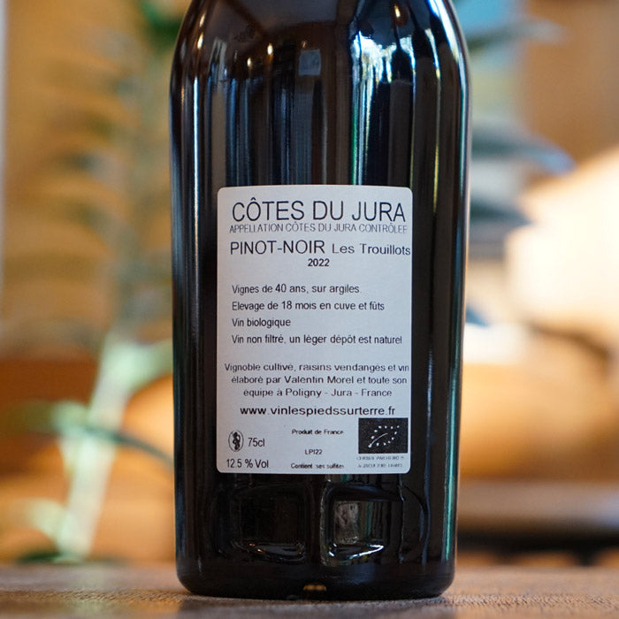 Pinot Noir 2022 - Valentin Morel - Marée Haute Vins Vivants