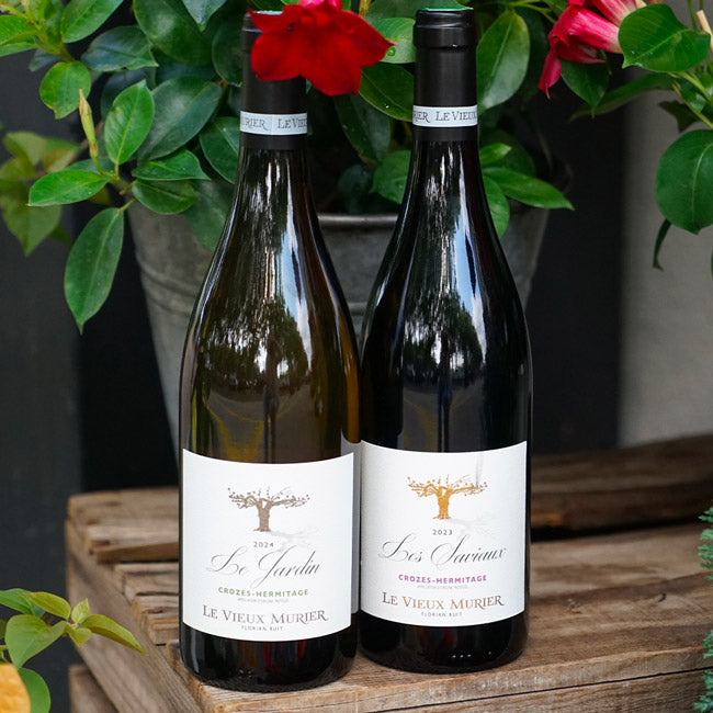 Crozes-Hermitage Rouge "Les Saviaux" 2023 - Le Vieux Mûrier