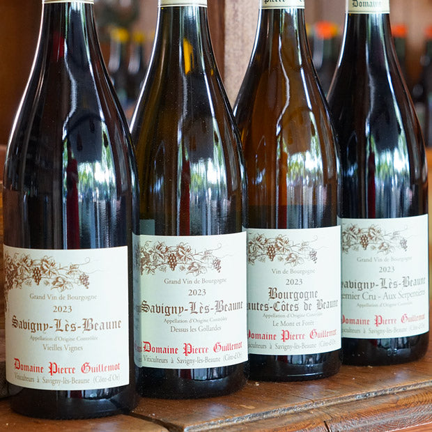 Hautes Côtes de Beaune Blanc 2023 - Pierre Guillemot