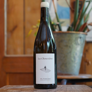 Bourgogne Aligoté "Les Chenevières" 2023 - Gabriel Keltchewsky