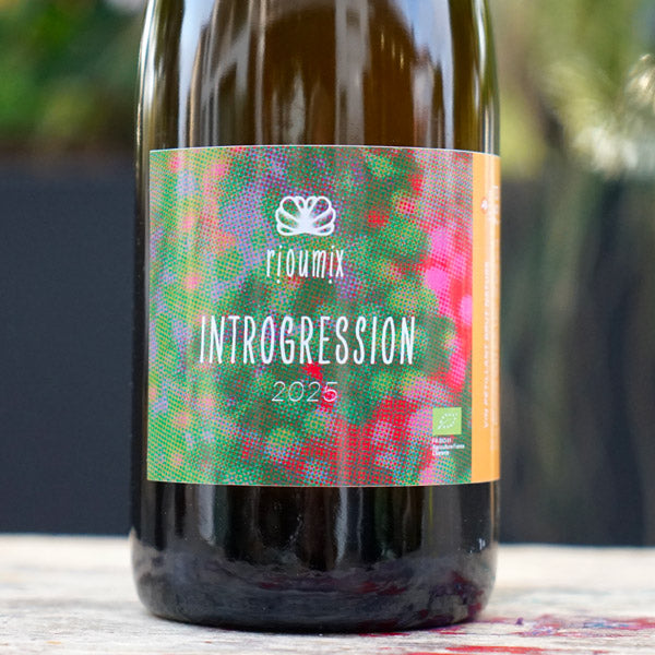 Introgression 2025 - Rioumix