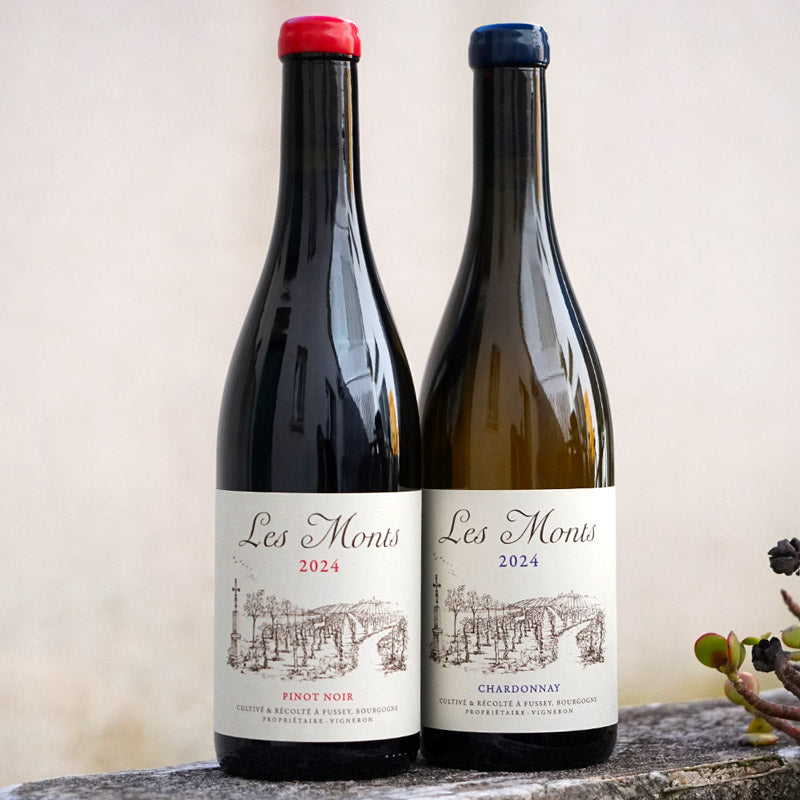 Hautes Cotes de Beaune "Les Crucibées" Blanc 2024 - Les Monts