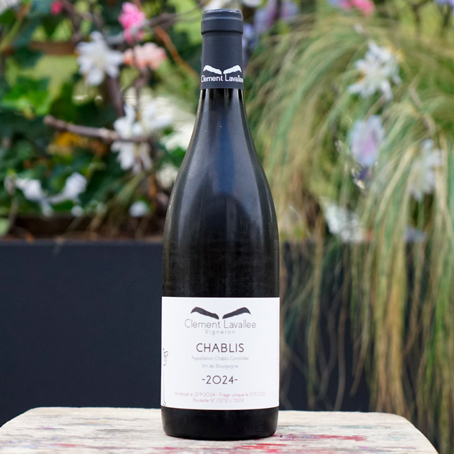 Chablis 2024 - Clément Lavallée