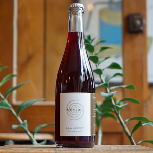 Renard 2023 - Sylvain Martinez