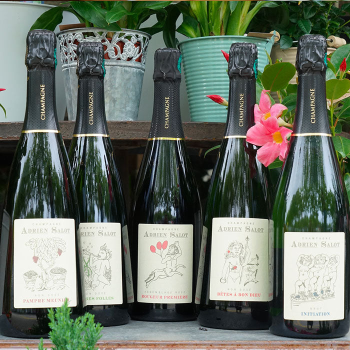 Bêtes à bon dieu - Champagne Adrien Salot