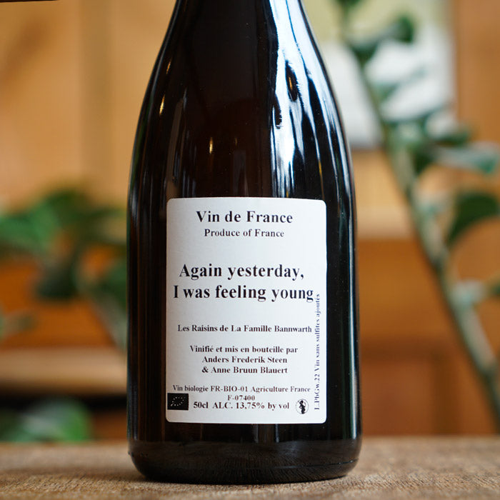 Again yesterday, I was feeling young 2022 - Anders Frederik Steen et Anne Bruun Blauert