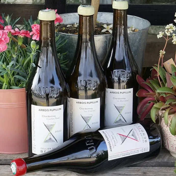Pinot Noir "Courbes Raies" 2022 - Cellier Saint Benoit