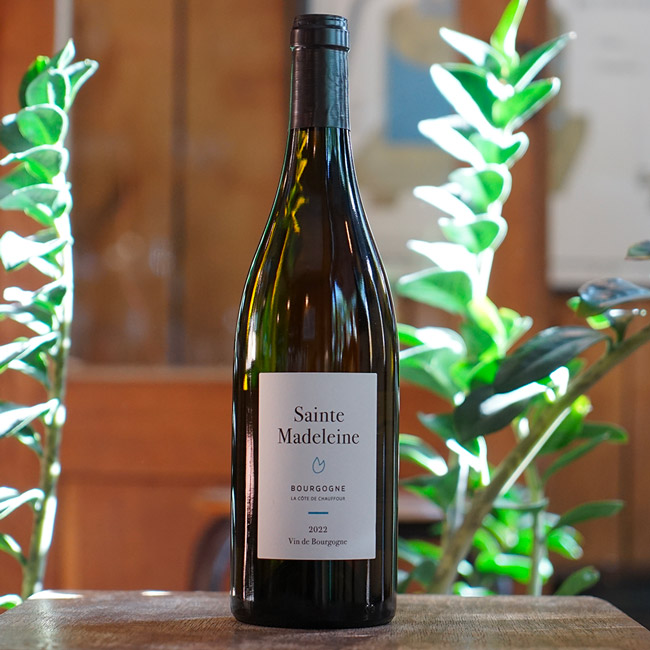 Bourgogne Blanc 2022 - Sainte Madeleine
