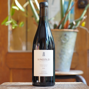 Xingolei 2022 - Bixente Indart