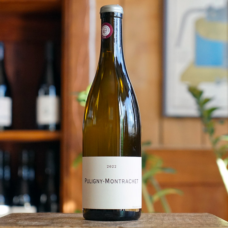 Puligny-Montrachet Blanc 2022 - Frédéric Cossard